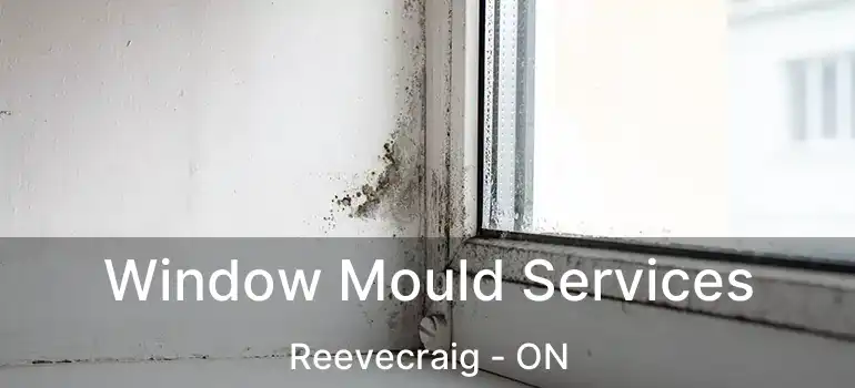 Window Mould Services Reevecraig - ON