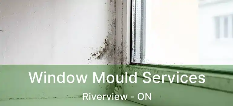  Window Mould Services Riverview - ON