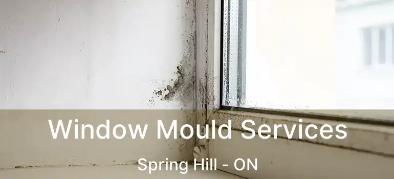 Window Mould Services Spring Hill - ON