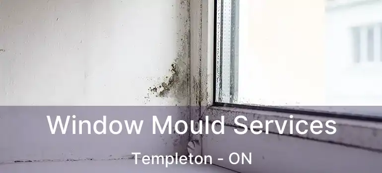  Window Mould Services Templeton - ON