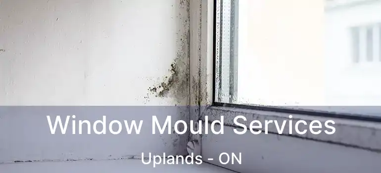 Window Mould Services Uplands - ON