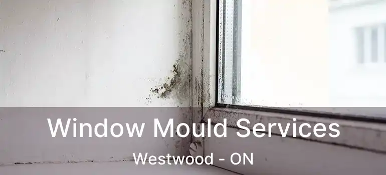 Window Mould Services Westwood - ON