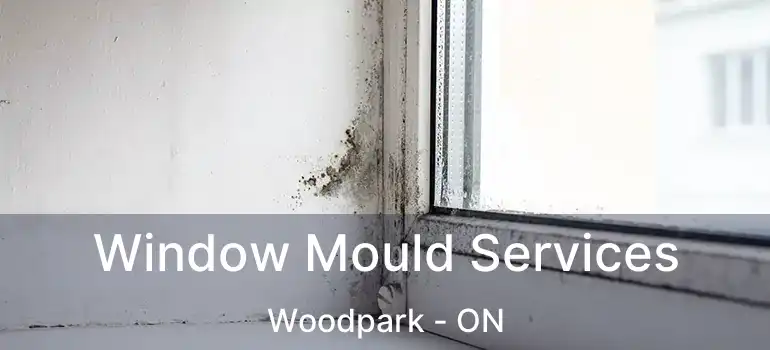  Window Mould Services Woodpark - ON