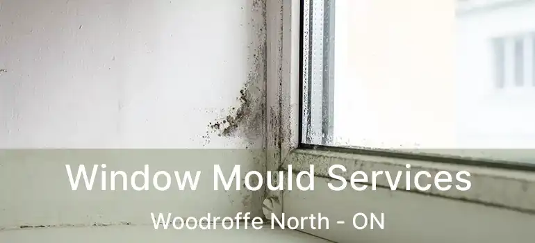  Window Mould Services Woodroffe North - ON