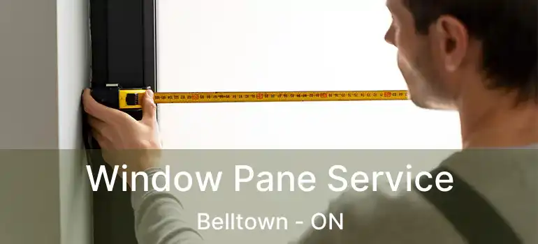 Window Pane Service Belltown - ON