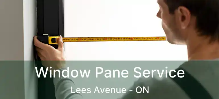 Window Pane Service Lees Avenue - ON