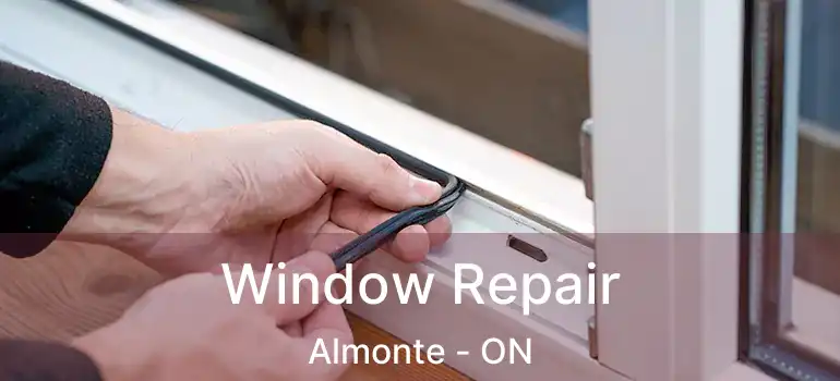 Window Repair Almonte - ON