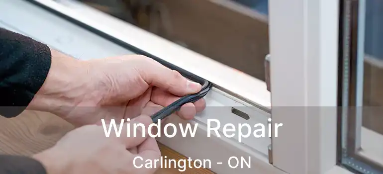  Window Repair Carlington - ON