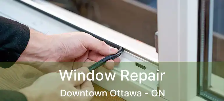  Window Repair Downtown Ottawa - ON
