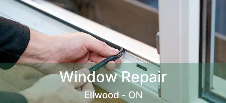 Window Repair Ellwood - ON