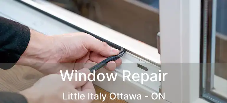  Window Repair Little Italy Ottawa - ON