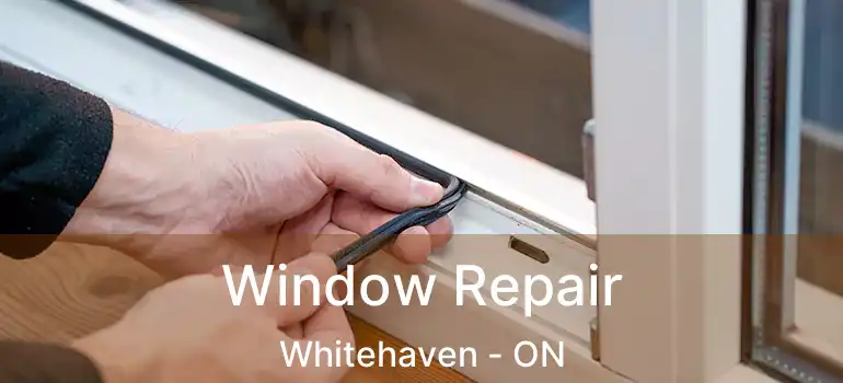Window Repair Whitehaven - ON