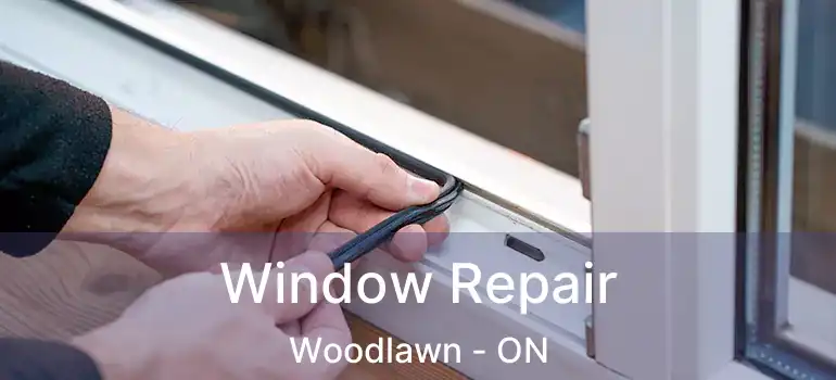 Window Repair Woodlawn - ON