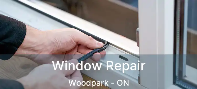  Window Repair Woodpark - ON