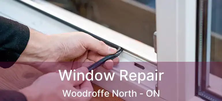 Window Repair Woodroffe North - ON
