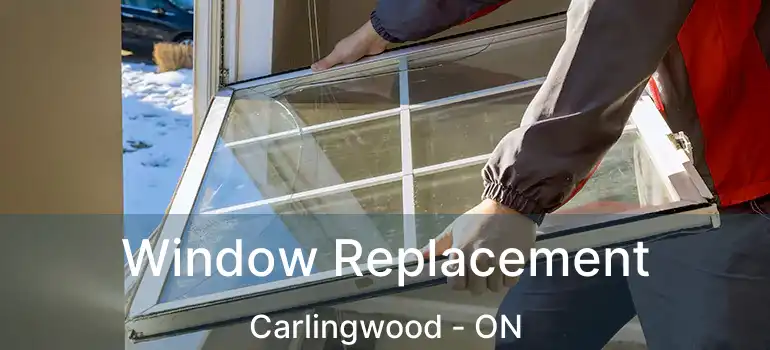  Window Replacement Carlingwood - ON