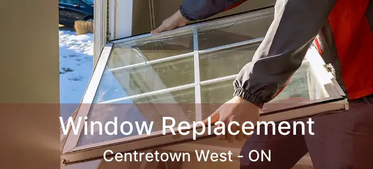 Window Replacement Centretown West - ON