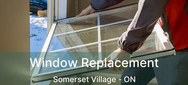  Window Replacement Somerset Village - ON