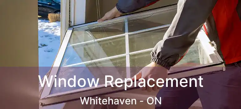 Window Replacement Whitehaven - ON