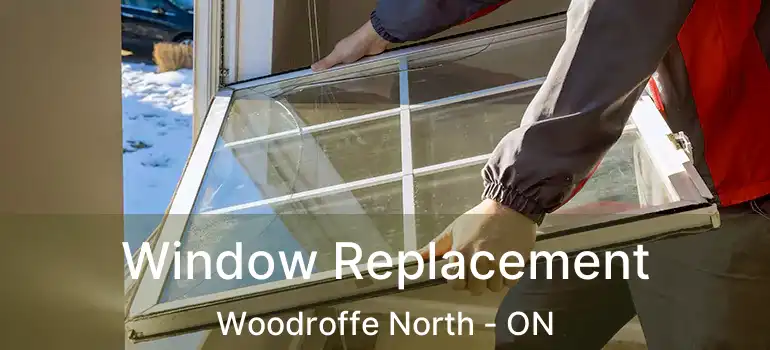 Window Replacement Woodroffe North - ON