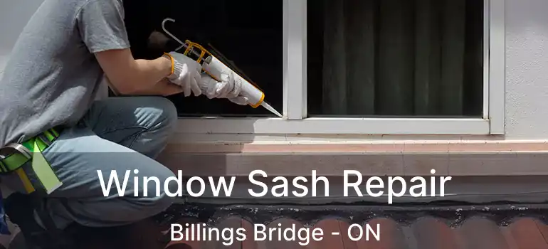 Window Sash Repair Billings Bridge - ON