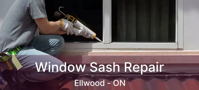 Window Sash Repair Ellwood - ON