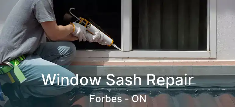 Window Sash Repair Forbes - ON