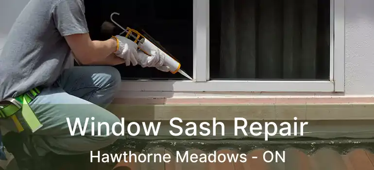 Window Sash Repair Hawthorne Meadows - ON
