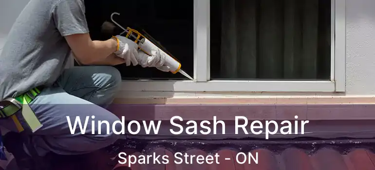 Window Sash Repair Sparks Street - ON