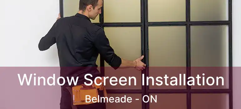  Window Screen Installation Belmeade - ON