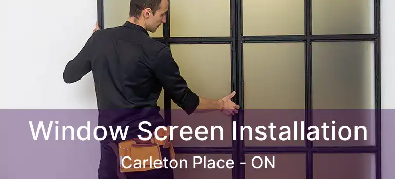 Window Screen Installation Carleton Place - ON
