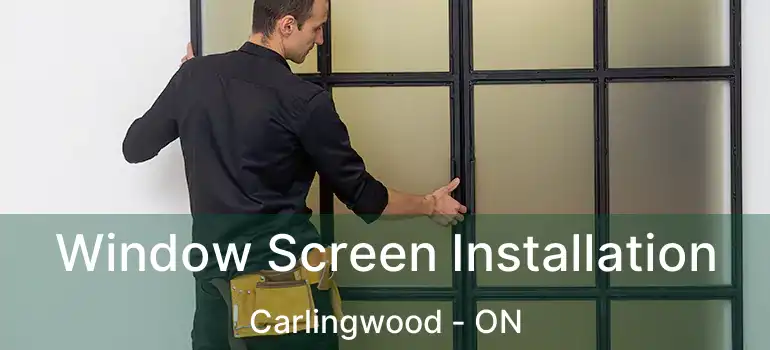 Window Screen Installation Carlingwood - ON
