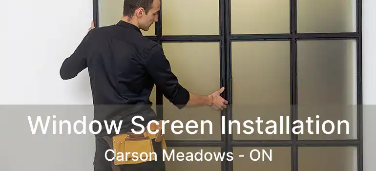 Window Screen Installation Carson Meadows - ON