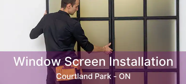  Window Screen Installation Courtland Park - ON