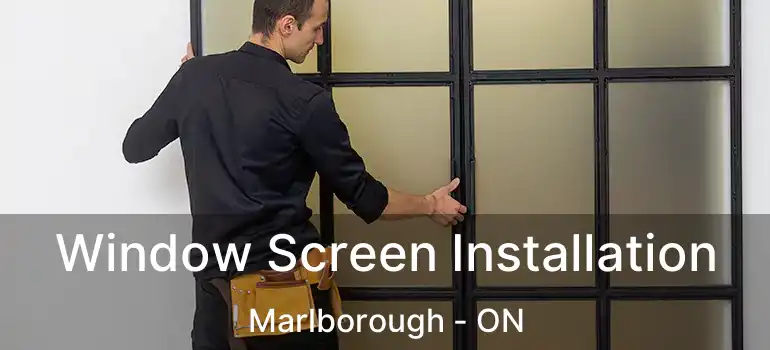  Window Screen Installation Marlborough - ON