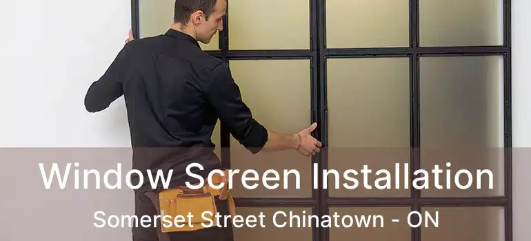  Window Screen Installation Somerset Street Chinatown - ON