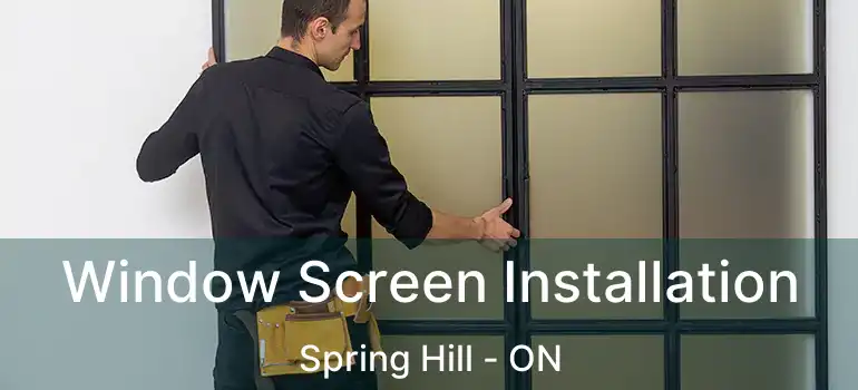 Window Screen Installation Spring Hill - ON