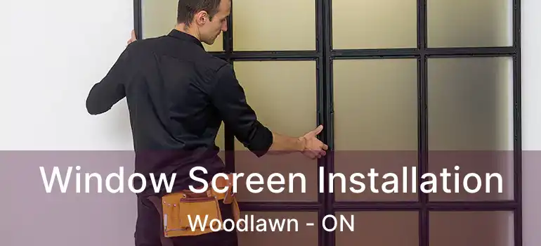 Window Screen Installation Woodlawn - ON