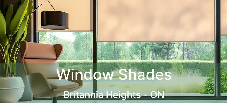  Window Shades Britannia Heights - ON
