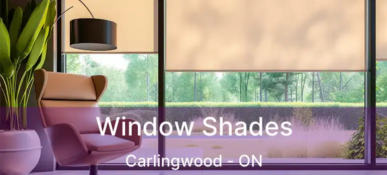  Window Shades Carlingwood - ON