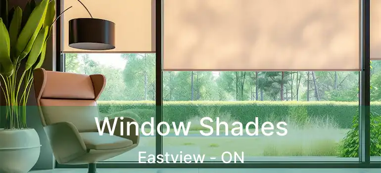 Window Shades Eastview - ON