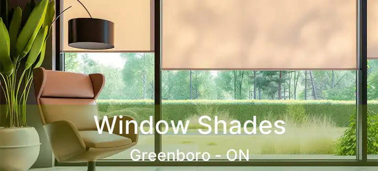  Window Shades Greenboro - ON