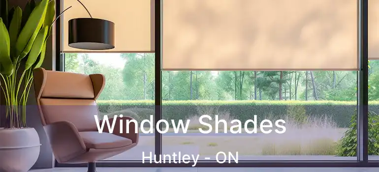 Window Shades Huntley - ON