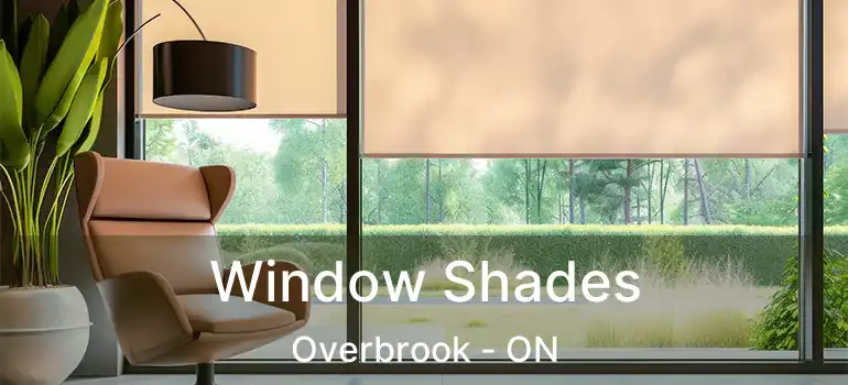 Window Shades Overbrook - ON
