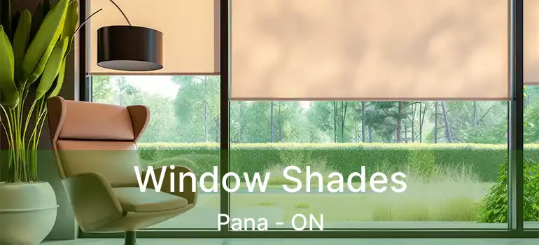 Window Shades Pana - ON