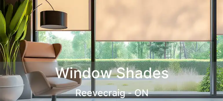 Window Shades Reevecraig - ON