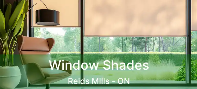 Window Shades Reids Mills - ON