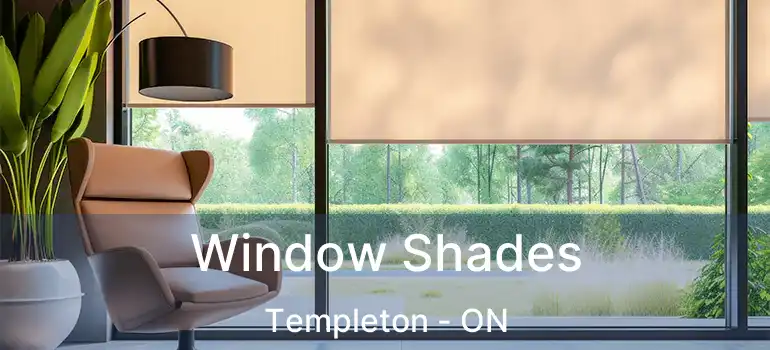 Window Shades Templeton - ON