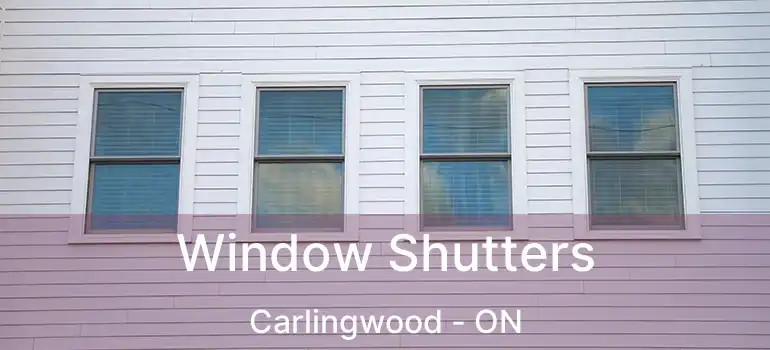  Window Shutters Carlingwood - ON