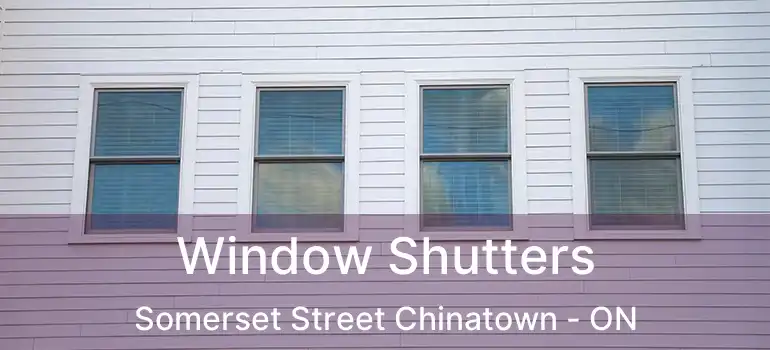 Window Shutters Somerset Street Chinatown - ON